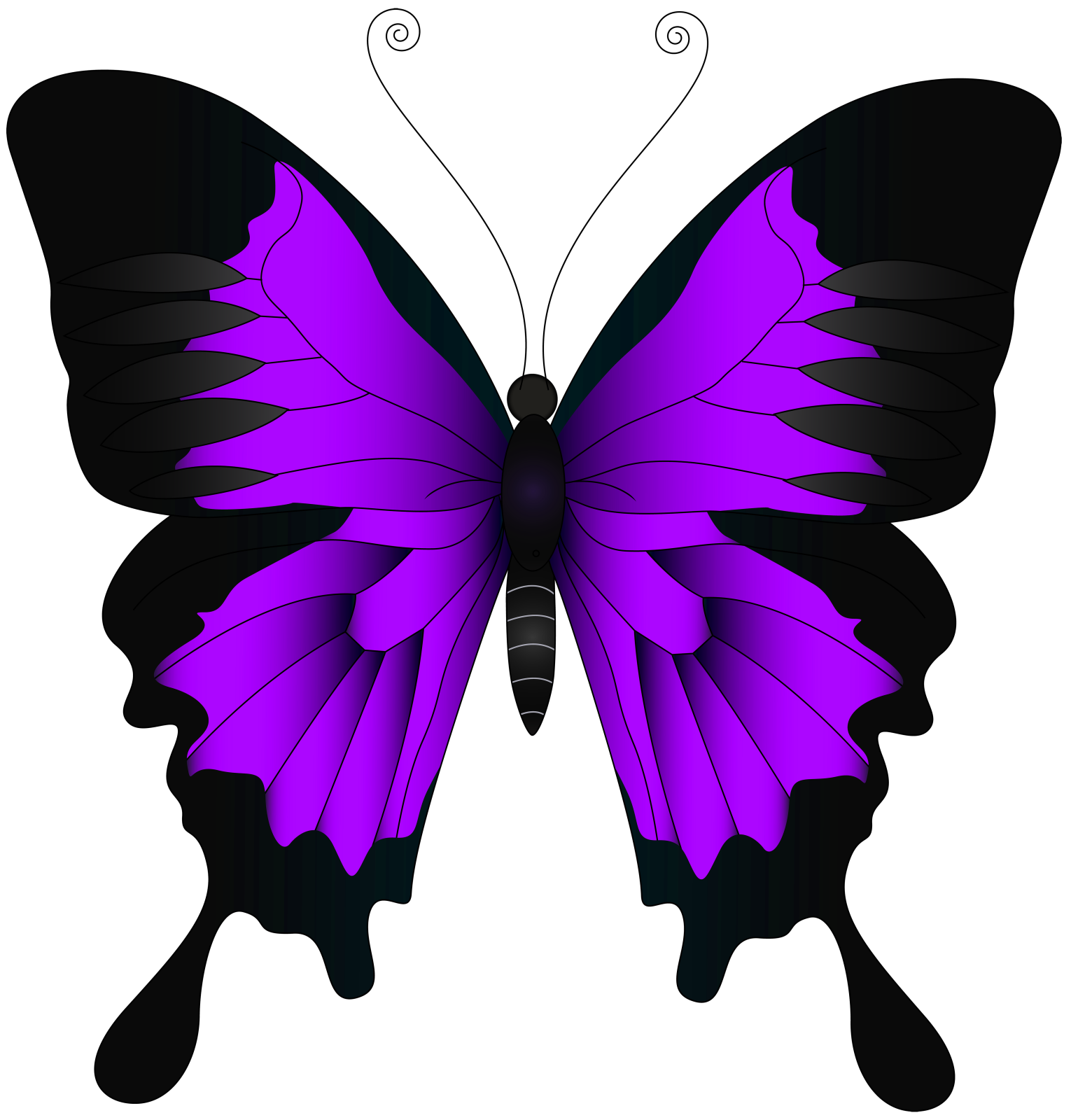 a purple butterfly on a white background
