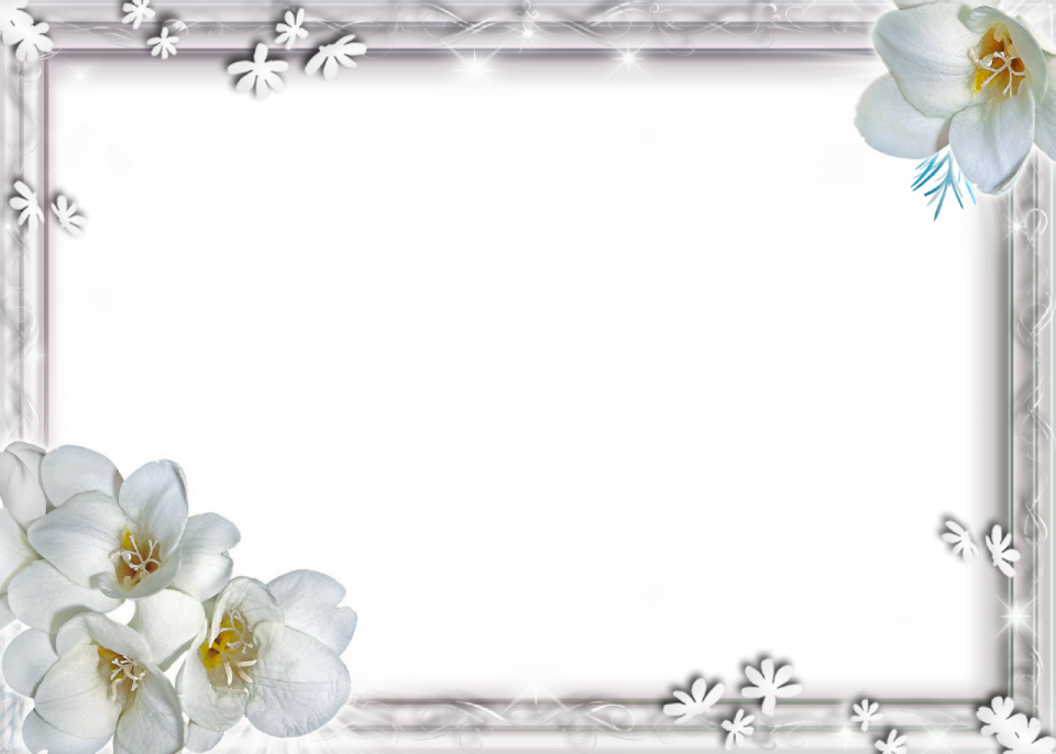 a frame with white orchids on a white background