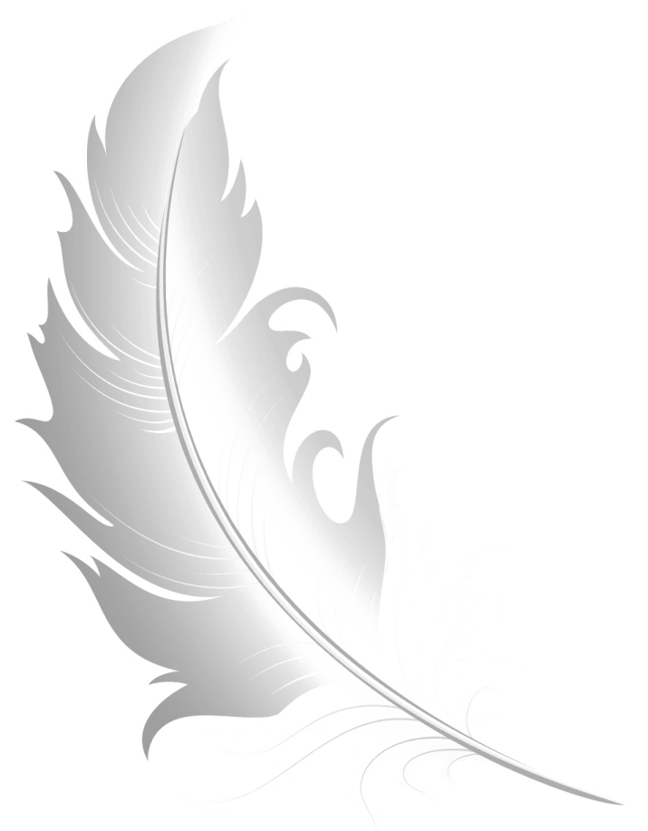 a feather on a white background