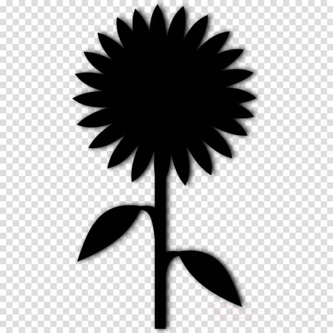 a black and white silhouette of a flower