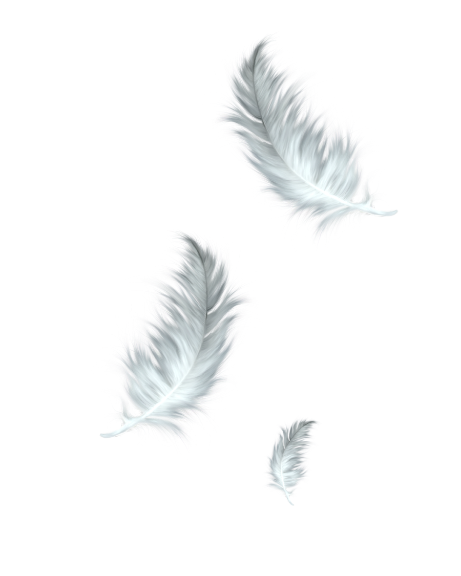 three white feathers on a white background