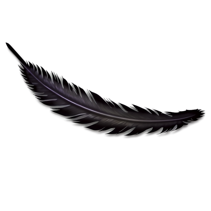 a black feather on a white background