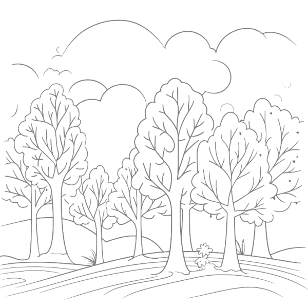 a black and white drawing of trees in the woods