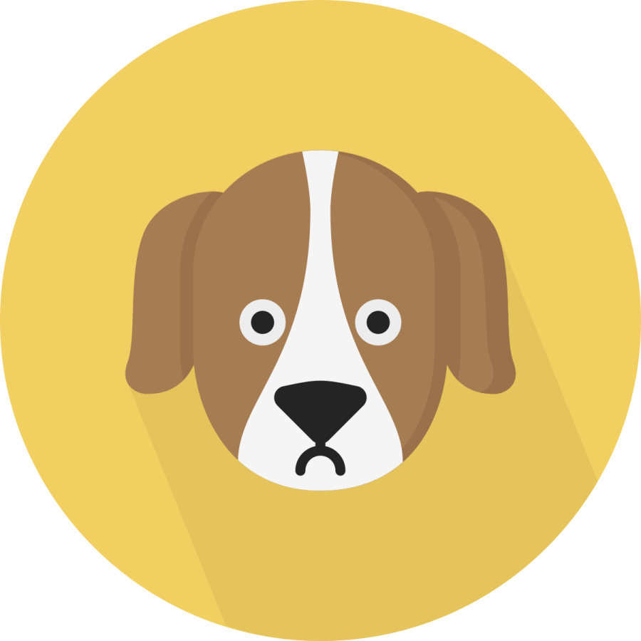 a brown and white dog's head in a yellow circle