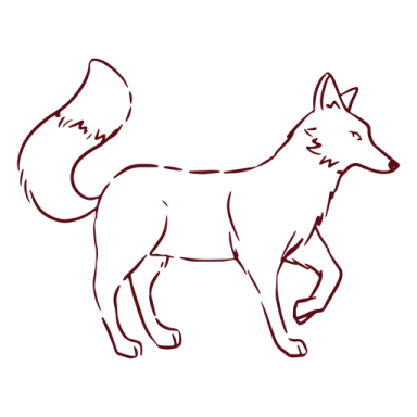how to draw a wolf