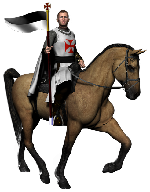 the horse is brown