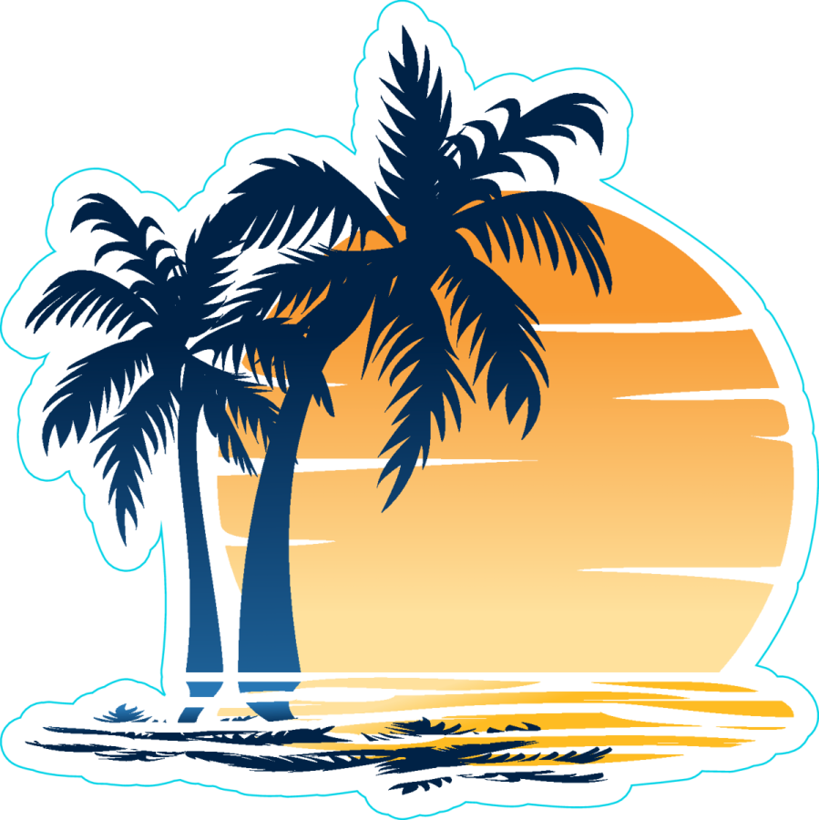 a palm tree on the beach at sunset
