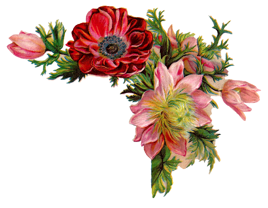 a bunch of flowers on a white background
