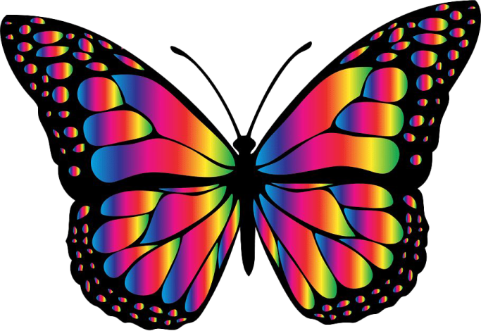 a butterfly with rainbow colored wings