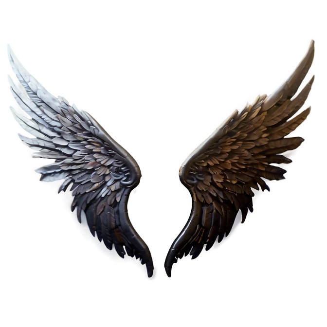 a pair of wings on a white background