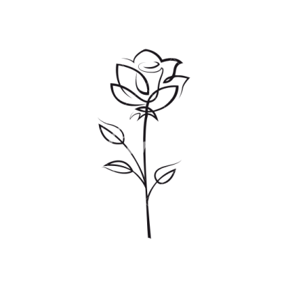 a black and white drawing of a rose