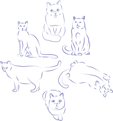 how to draw cats