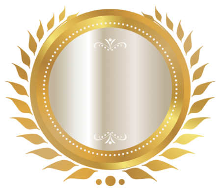 a gold medal with a white background