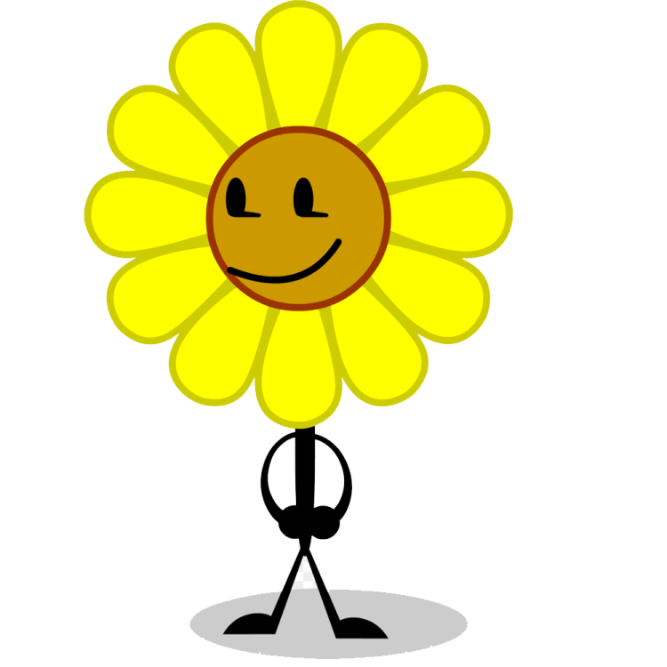 a yellow flower with a smiley face on it