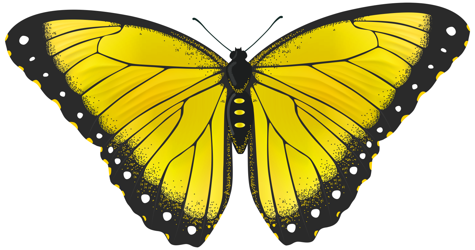 a yellow butterfly on a white background