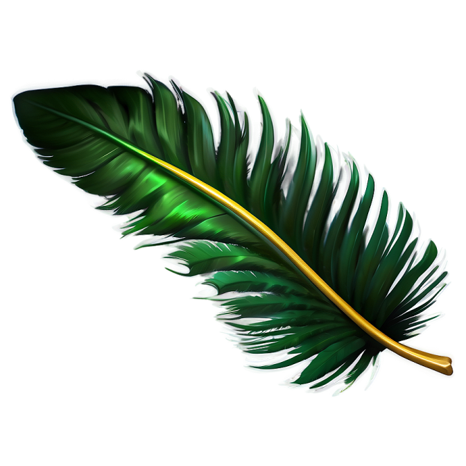 a green feather on a white background