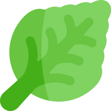 a green leaf on a white background
