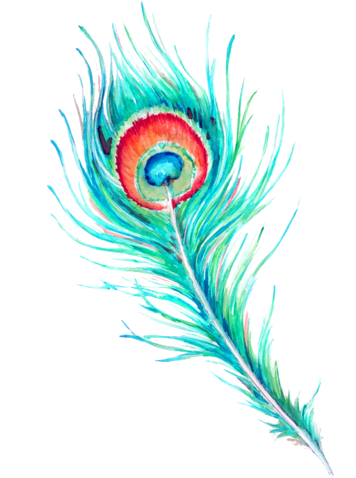 a watercolor painting of a peacock feather