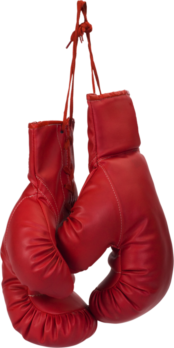 a pair of red boxing gloves hanging on a rope