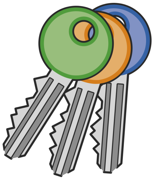a bunch of keys