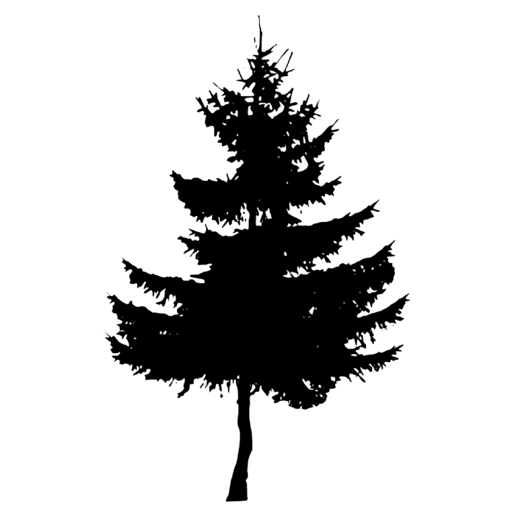 a black and white silhouette of a tree