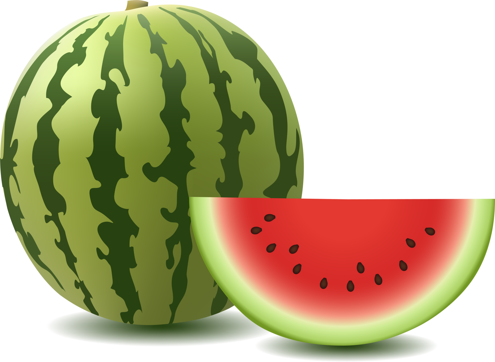 a watermelon and a slice
