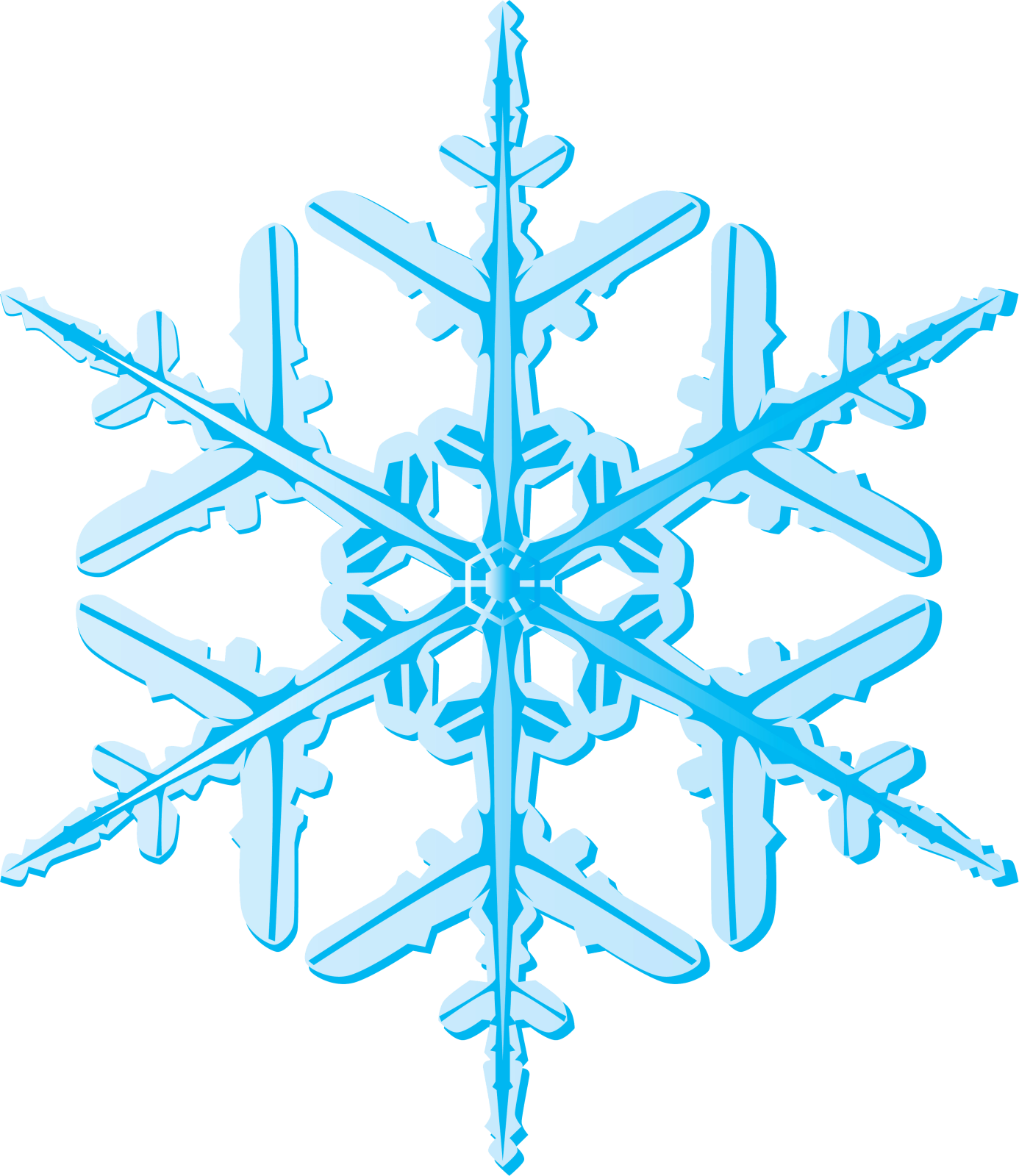 an image of a snowflor