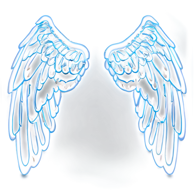 a pair of wings