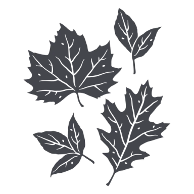 three black maple leaves on a white background