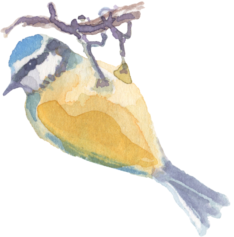 a watercolor painting of a bird on a branch