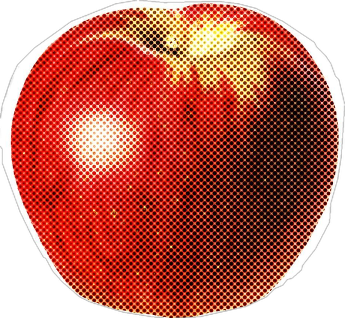 a red apple on a white background
