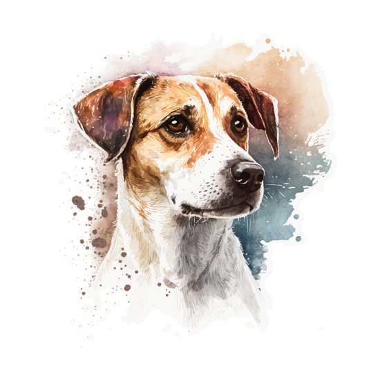 a watercolor painting of a dog's face