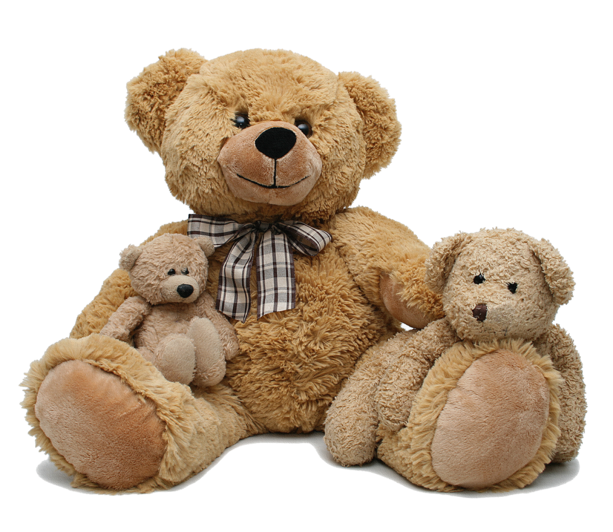 a brown teddy bear sitting next to two smaller teddy bears