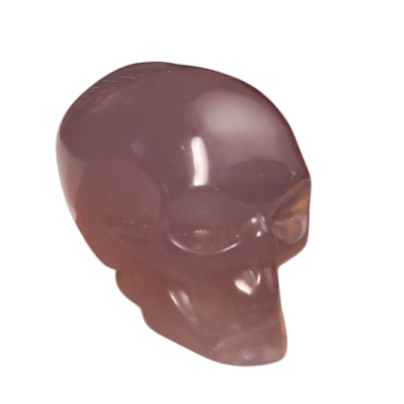 a brown skull on a white background