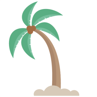 a palm tree on a white background