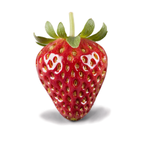 a strawberry on a white background