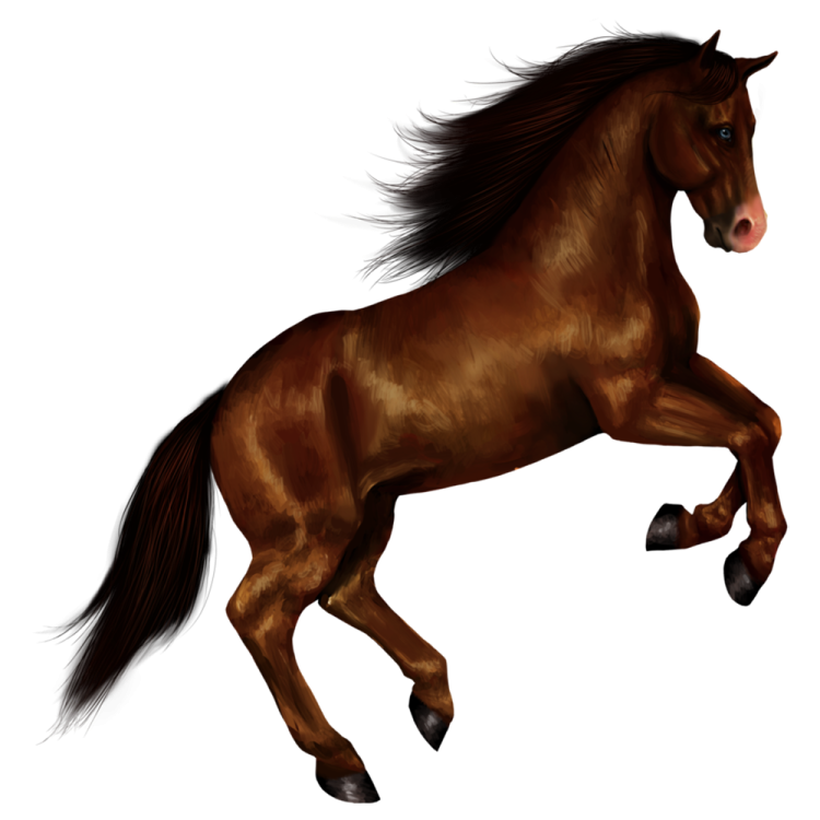 a brown horse running on a white background
