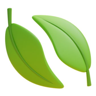 two green leaves on a white background