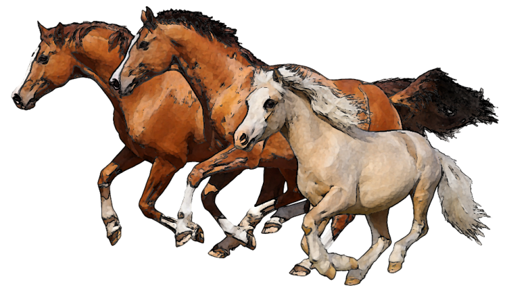 three brown and white horses