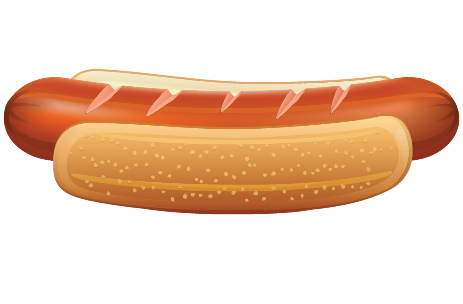 a hot dog on a white background