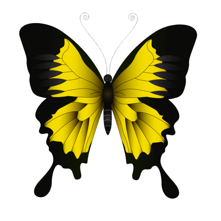 a yellow butterfly with black wings