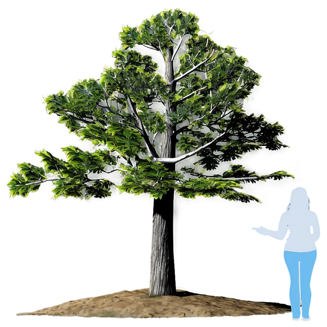 a person standing in front of a tree
