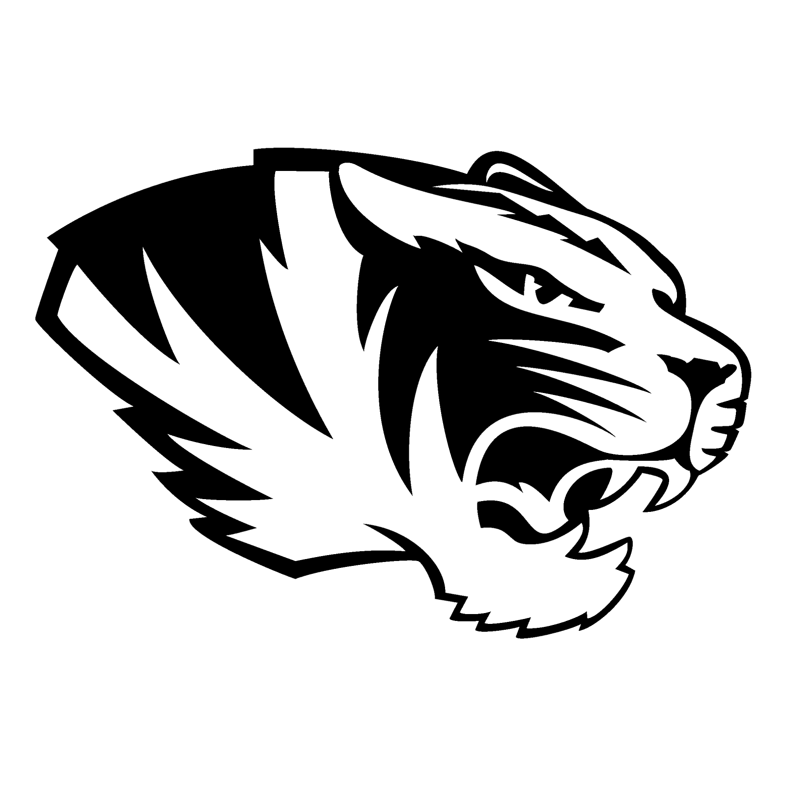 a black and white tiger head