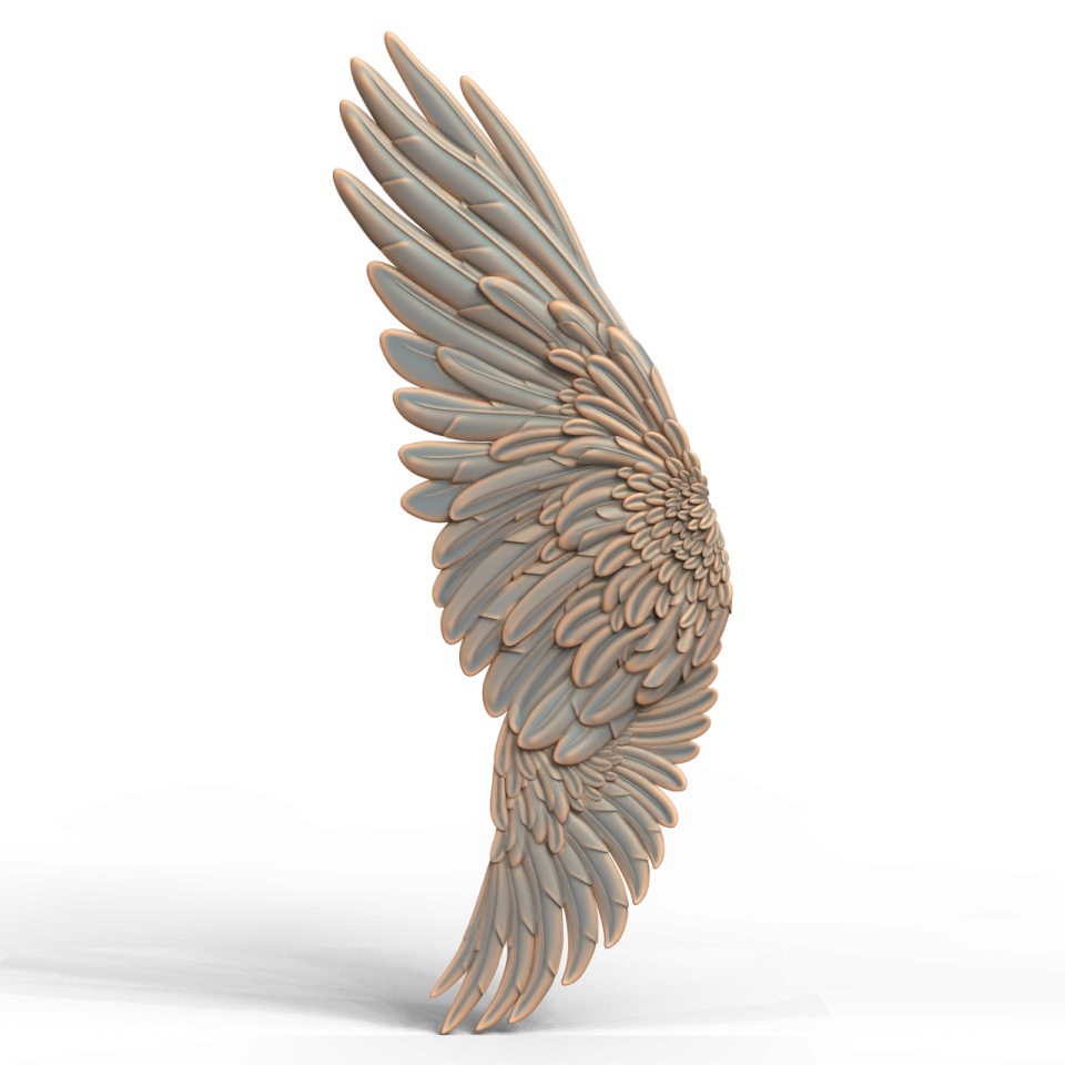 an angel wing on a white background