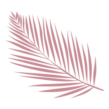 a palm leaf on a white background