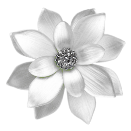 a white flower with a black center