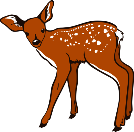 a brown deer standing on a white background
