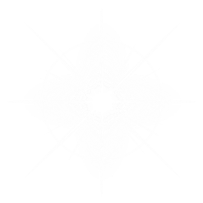 a white background with a black and white pattern