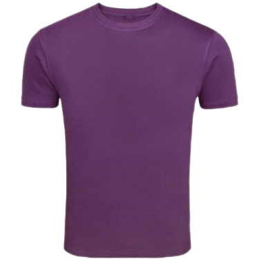 a purple t shirt on a white background