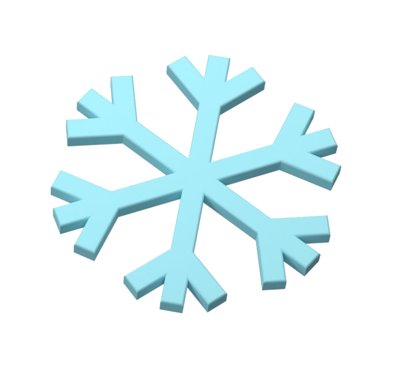 a snowflorer on a white background